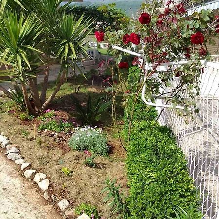 Guesthouse Djurisic Herceg Novi Bagian luar foto